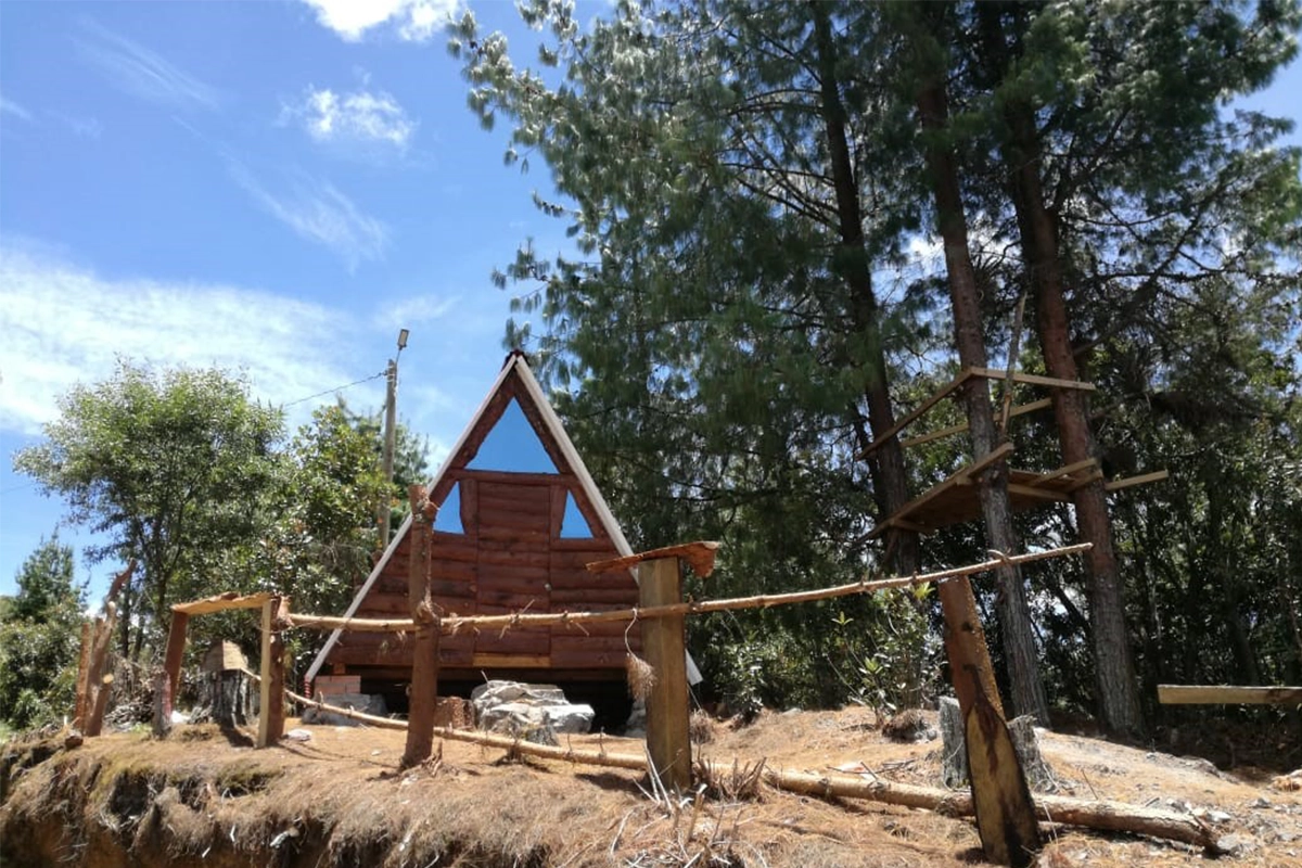 whatsapp image 2025 11 19 at 10.41.25 am