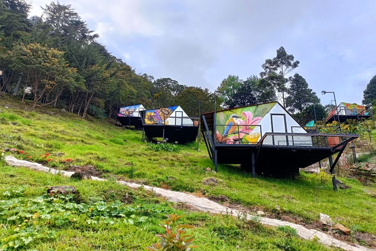 whatsapp image 2025 11 19 at 10.41.25 am