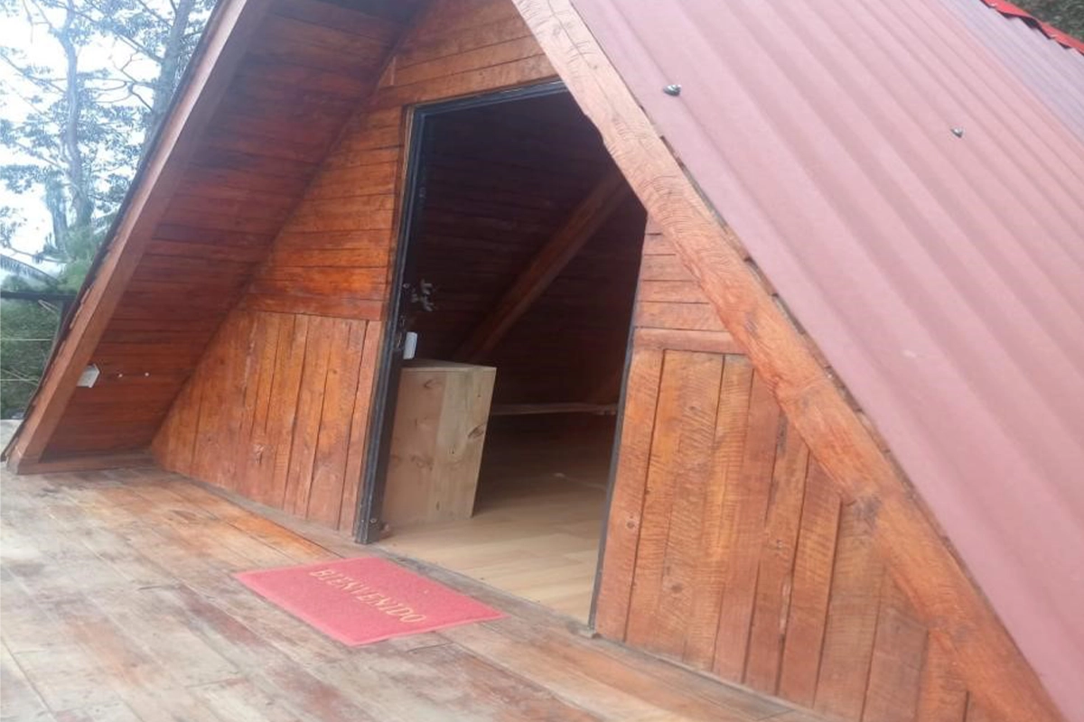 whatsapp image 2025 11 19 at 10.41.25 am