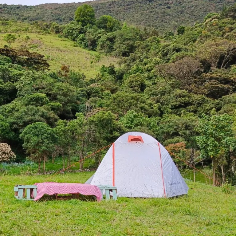 whatsapp image 2025 11 19 at 10.41.25 am