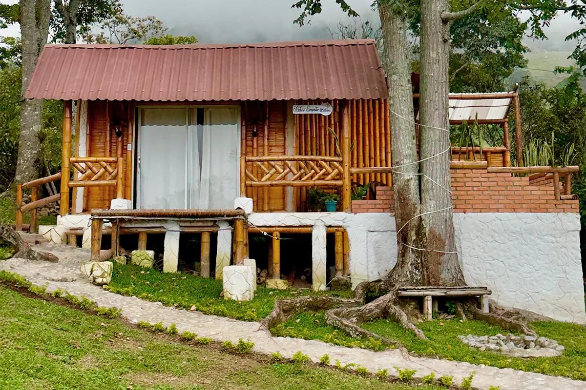 whatsapp image 2025 11 19 at 10.41.25 am